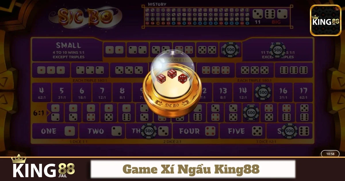 Hướng Dẫn Chơi Xí Ngầu Từng Bước Dành Cho Người Mới