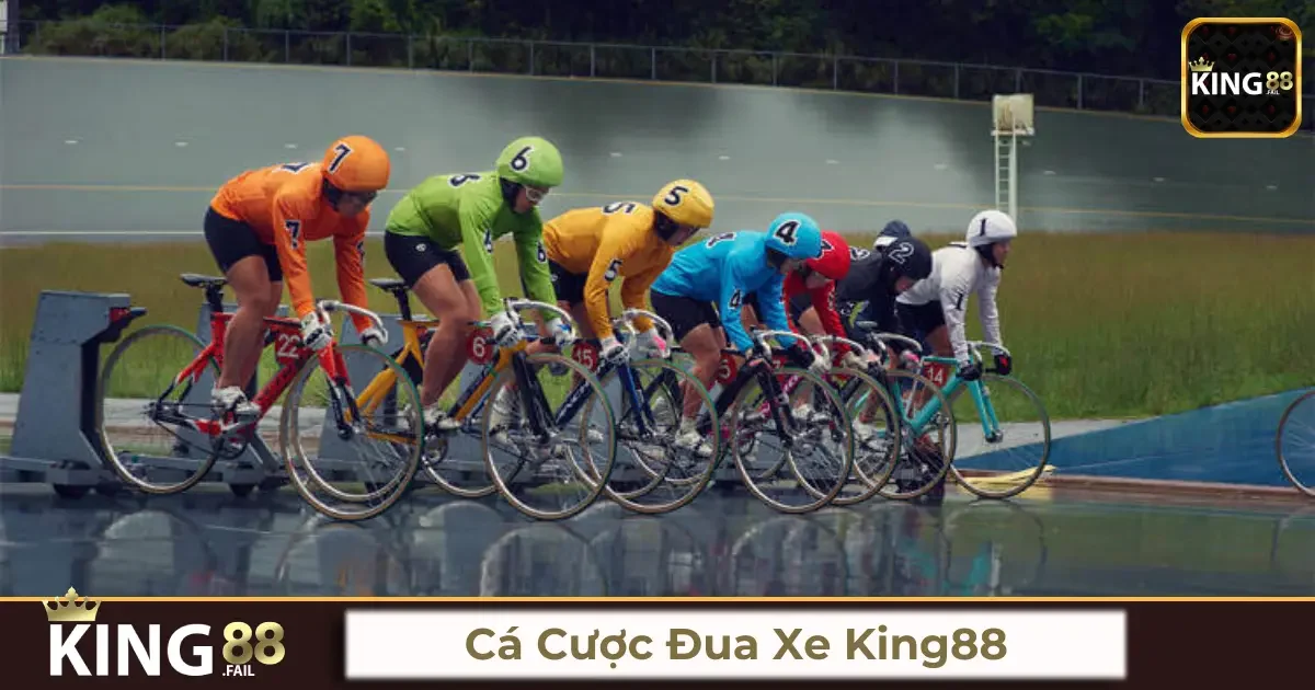 Cá cược đua xe King88 là gì? Giới thiệu tổng quan